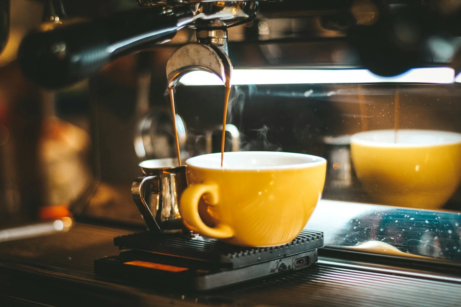 Elevate Your Daily Grind
